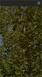 Mobile Screenshot of drpalazzolo.com